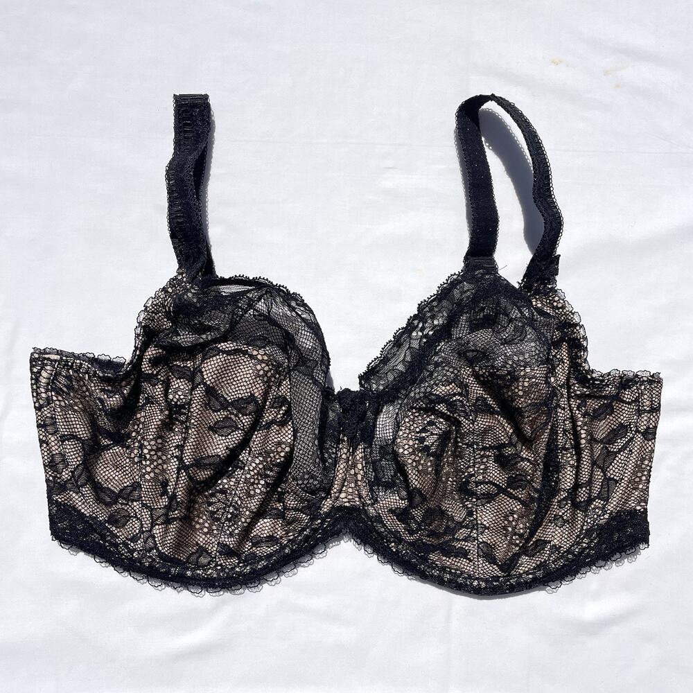 Fantasie Susanna Underwire Bra 36G Black Lace FL2402